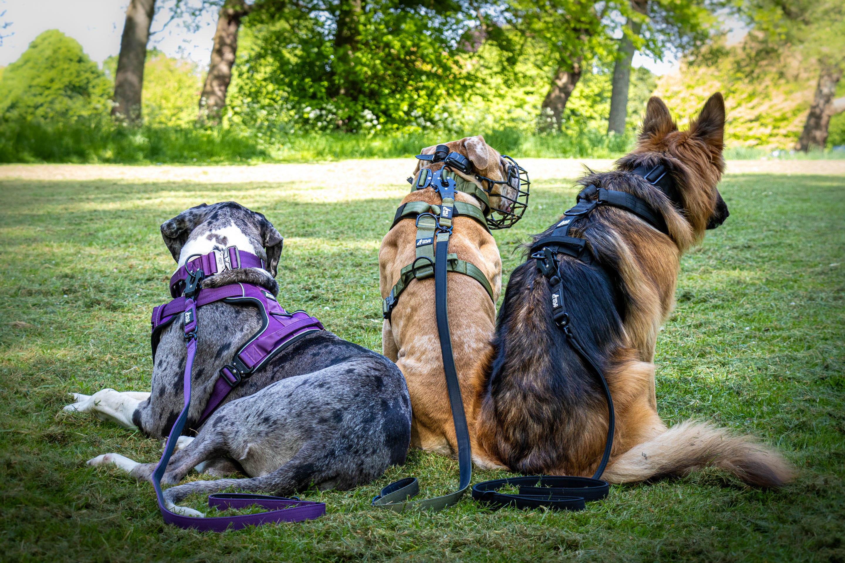 IMG_2019.JPG__PID:a84bcfa3-76fb-490a-b7be-aa2925371163
