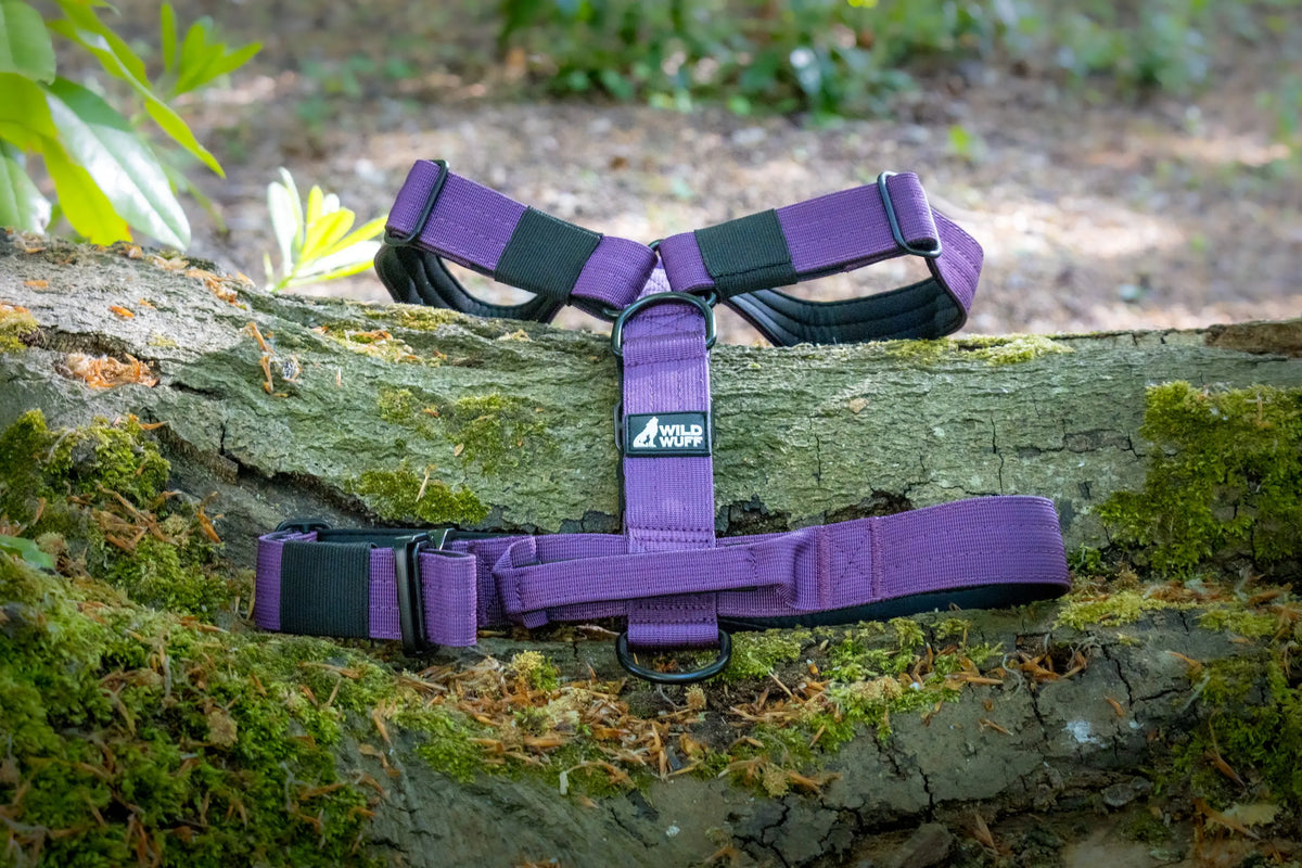ControlCore purple harness Wildwuff - Built for play. Ready for anything.