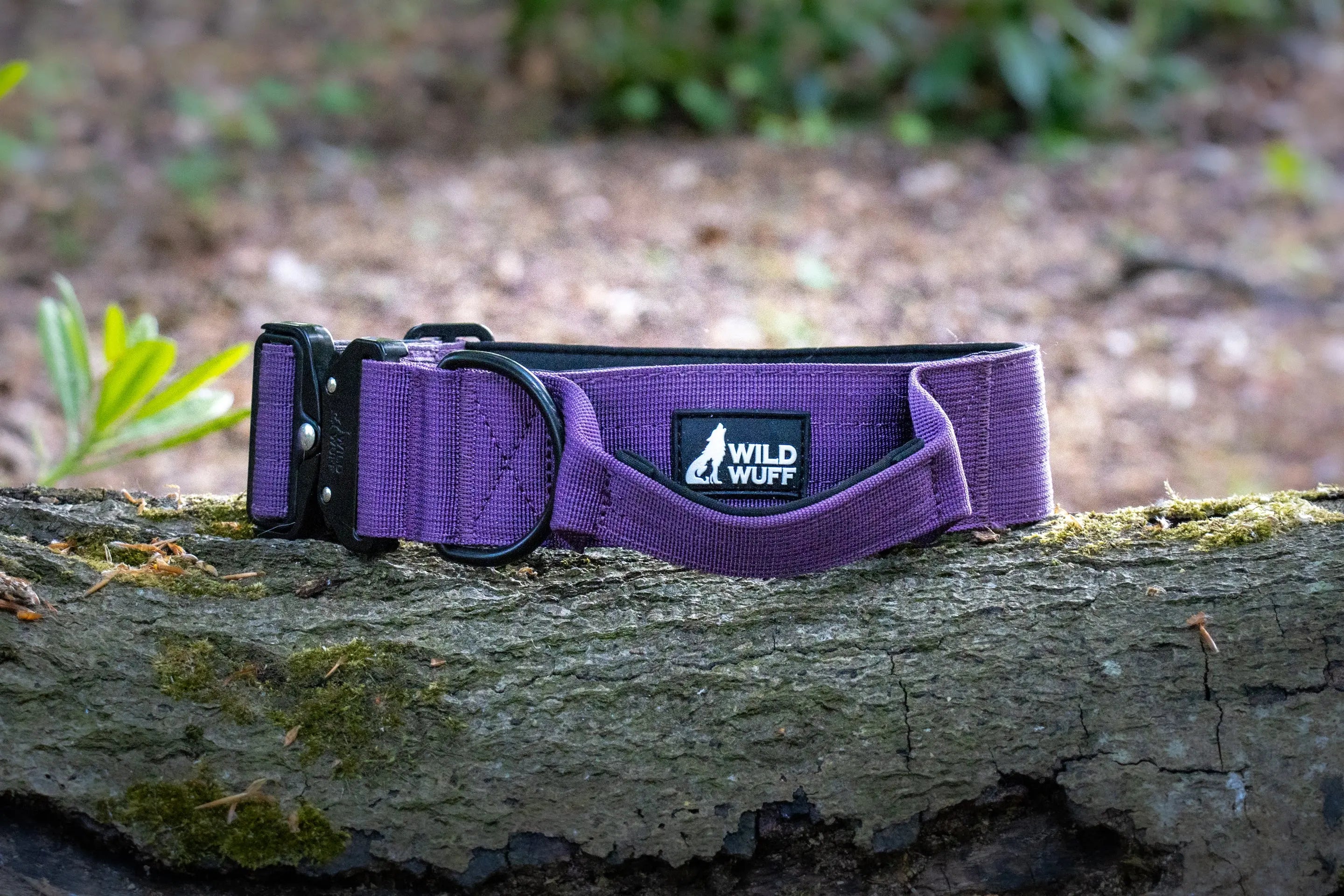Best Purple Tactical Dog Collar