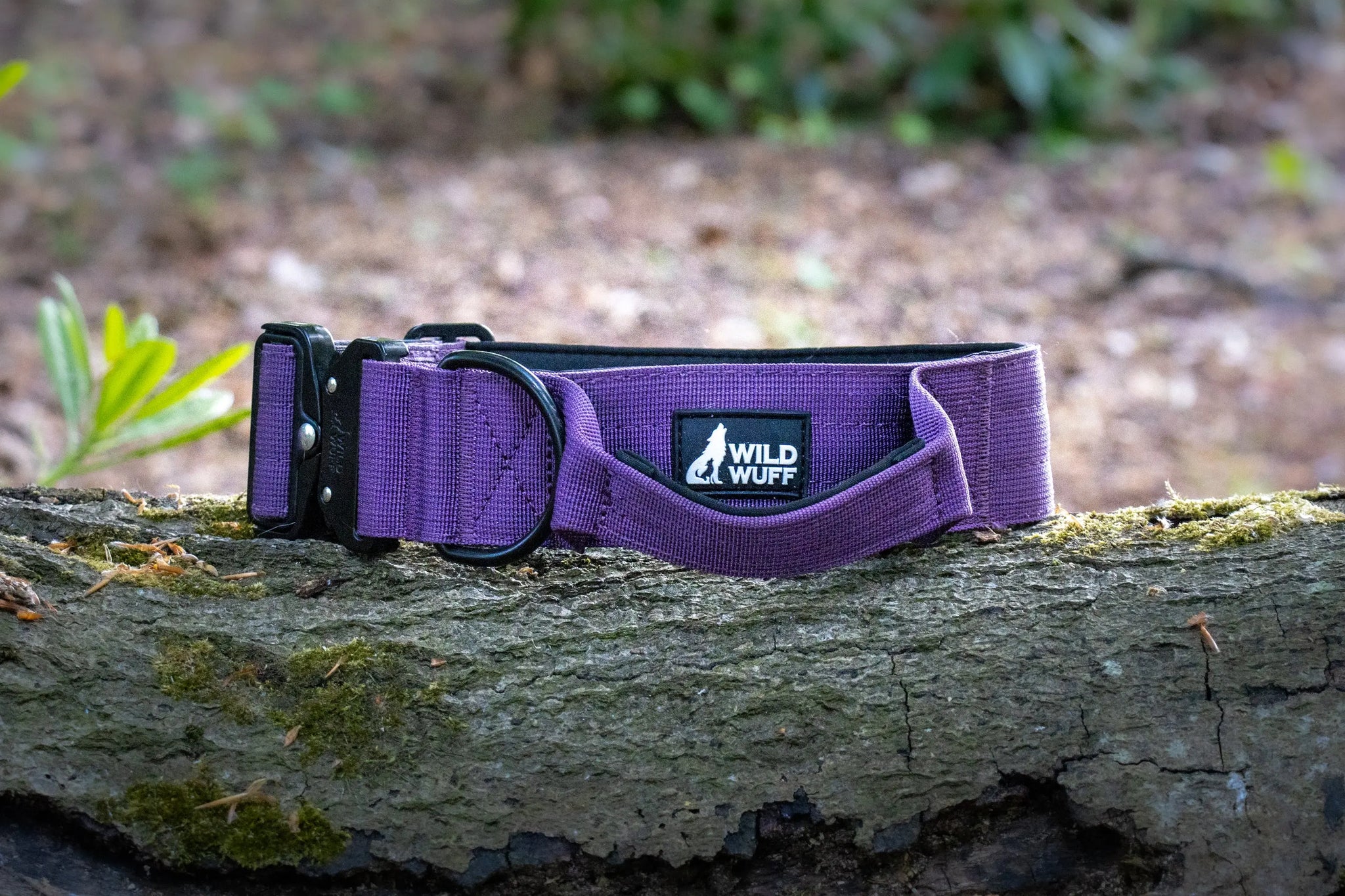 Best Purple Tactical Dog Collar