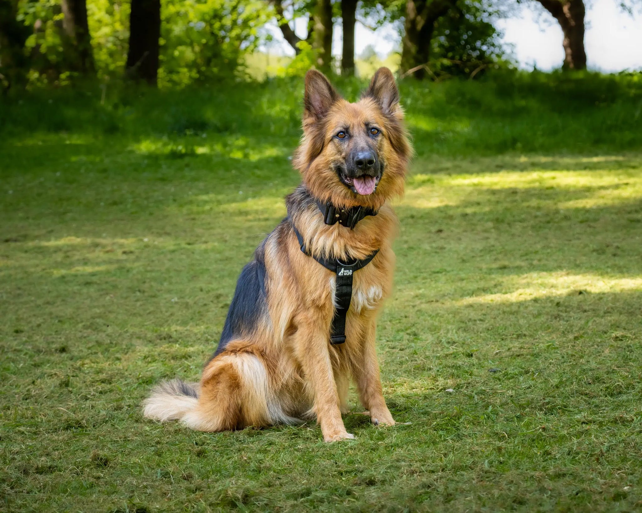 ControlCore black harness Wildwuff - Built for play. Ready for anything.