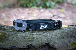 Leads
