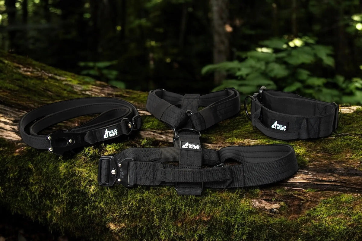 Ultimate Control Bundle | Enhance Your Dog