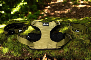 Ultimate TitanGrip Bundle – TitanGrip Collar, TitanGrip Harness & Quick Release Lead (20% Off) Wildwuff - Built for play. Ready for anything.